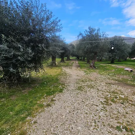 Oda ve Kahvaltı Amelia Room's Qeparo